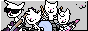 cat band